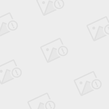 SEO优化新网站整站排名快速优化